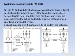 Zweidimensionales Echobild (2D Bild) 
Für ein 2D Bild wird der B-Modus verwendet, allerdings entsteht 
das Bild aus der fächerförmigen Abtastung der gewünschten 
Region. Das US Gerät sendet in eine Richtung, wartet auf die 
zurückkommenden Echos, ändert die Abstrahlrichtung um ein 
paar Grad und sendet erneut. 
Dadurch ergeben sich Bildraten von 30-60 Bildern pro Sekunde. 
© Michael Wolrab 
 
