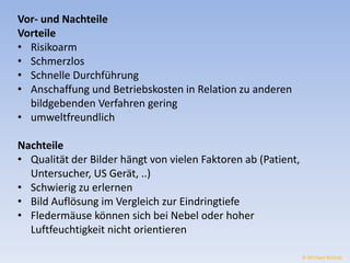 Vor- und Nachteile 
Vorteile 
• Risikoarm 
• Schmerzlos 
• Schnelle Durchführung 
• Anschaffung und Betriebskosten in Relation zu anderen 
bildgebenden Verfahren gering 
• umweltfreundlich 
Nachteile 
• Qualität der Bilder hängt von vielen Faktoren ab (Patient, 
Untersucher, US Gerät, ..) 
• Schwierig zu erlernen 
• Bild Auflösung im Vergleich zur Eindringtiefe 
• Fledermäuse können sich bei Nebel oder hoher 
Luftfeuchtigkeit nicht orientieren 
© Michael Wolrab 
