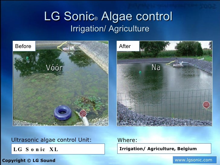 ultrasonic algae control algee control