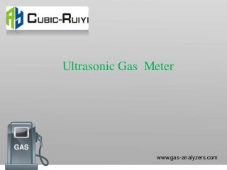 Ultrasonic Gas Meter
www.gas-analyzers.com
 