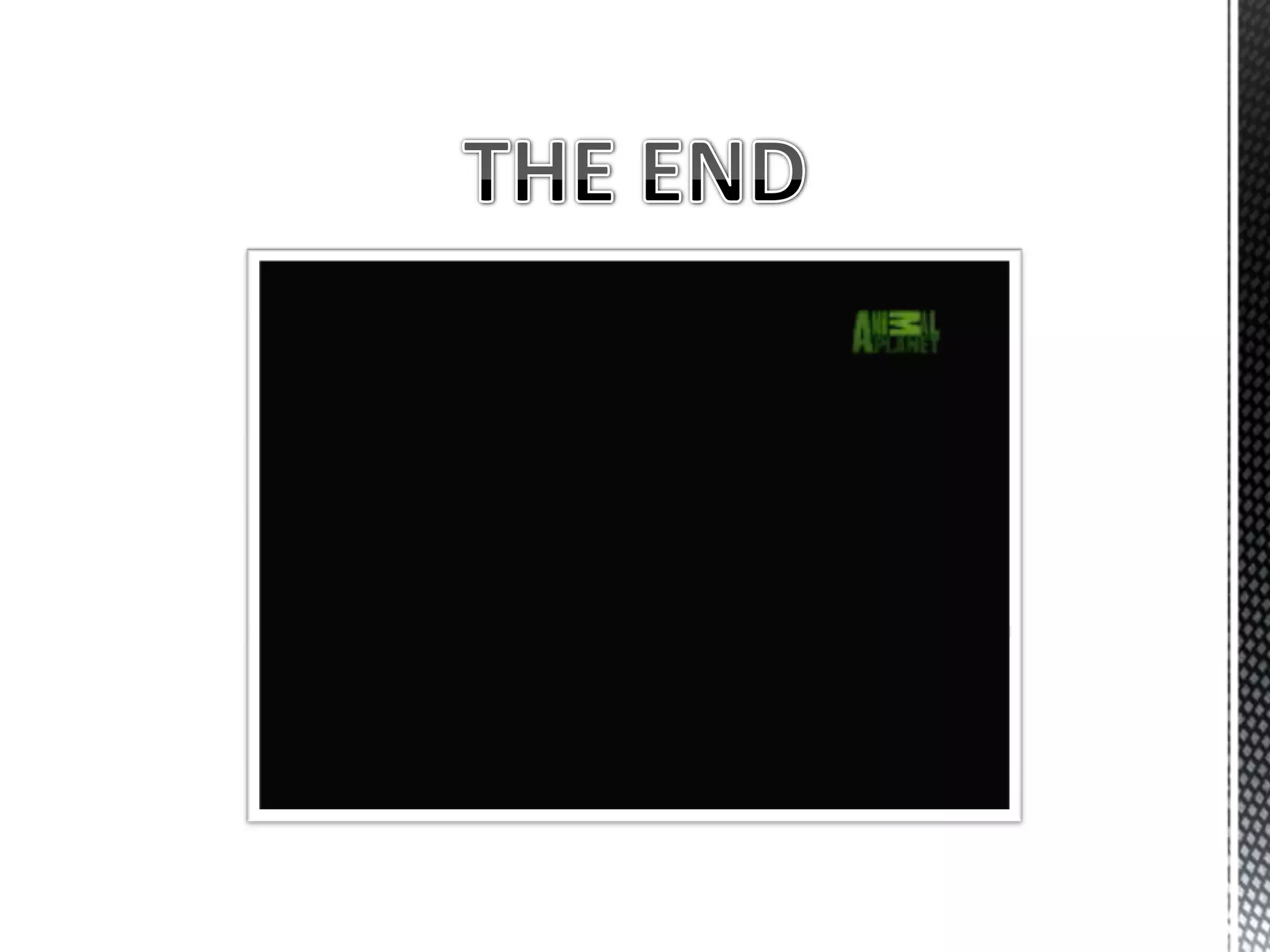 Ultrasonic range finder