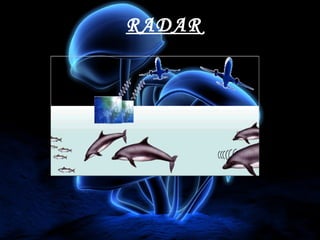 RADAR

 