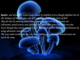 Radar and ultrasonic sound waves made by dolphins Even though dolphins live in
the darkness of the sea, they can still search for food in the form of fish.
They do this by emitting sound that cannot be detected by the human ear
(ultrasonic sound waves) and catching the sound that comes back like an echo.
Even though they cannot see their food, they can tell their direction and distance by
using ultrasonic sound waves.
The way radar works and the way that dolphins use ultrasonic sound waves are
much the same.

 
