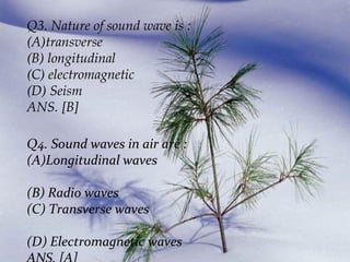 Q3. Nature of sound wave is :
(A)transverse
(B) longitudinal
(C) electromagnetic
(D) Seism
ANS. [B]
Q4. Sound waves in air are :
(A)Longitudinal waves
(B) Radio waves
(C) Transverse waves
(D) Electromagnetic waves

 