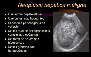 Neoplasia hepática maligna
 Carcinoma hepatocelular
 Uno de los mas frecuentes
 El aspecto por ecografía es
variable.
 Masas pueden ser hipoecoicas,
complejas o ecógenas
 Menores de <5 cm son
hipoecoicos
 Masas grandes son
heterogéneas
 