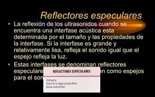 Reflectores especulares
• La reflexión de los ultrasonidos cuando se
encuentra una interfase acústica esta
determinada por el tamaño y las propiedades de
la interfase. Si la interfase es grande y
relativamente lisa, refleja el sonido igual que el
espejo refleja la luz.
• Estas interfases se denominan reflectores
especulares porque se comportan como espejos
para el sonido.
 