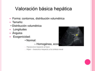 Valoración básica hepática
Forma: contornos, distribución volumétrica
 Tamaño:
• Distribución volumétrica
 Longitudes
 ...