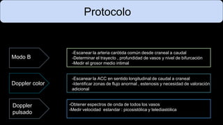 Protocolo
Doppler color
Doppler
pulsado
-Escanear la arteria carótida común desde craneal a caudal
-Determinar el trayecto , profundidad de vasos y nivel de bifurcación
-Medir el grosor medio intimal
-Escanear la ACC en sentido longitudinal de caudal a craneal
-Identificar zonas de flujo anormal , estenosis y necesidad de valoración
adicional
-Obtener espectros de onda de todos los vasos
-Medir velocidad estandar : picosistólica y telediastólica
Modo B
 