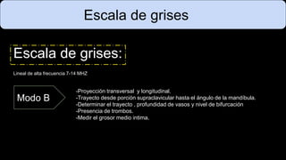 Escala de grises
Escala de grises:
Lineal de alta frecuencia 7-14 MHZ
Modo B
-Proyección transversal y longitudinal.
-Trayecto desde porción supraclavicular hasta el ángulo de la mandíbula.
-Determinar el trayecto , profundidad de vasos y nivel de bifurcación
-Presencia de trombos.
-Medir el grosor medio intima.
 
