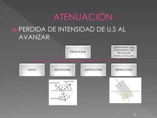    PERDIDA DE INTENSIDAD DE U.S AL
    AVANZAR
                                               DEPENDERA DEL
                                               CONTENIDO DE
                        PRODUCIDA
                                                 PROTEINAS
                                               ESTRUCTURALES




      MEDIO   REFLEXIONES       DISPERCIONES    REFRACCION




                                                             12
 