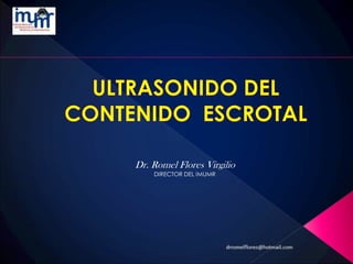 Dr. Romel Flores Virgilio
DIRECTOR DEL IMUMR
 