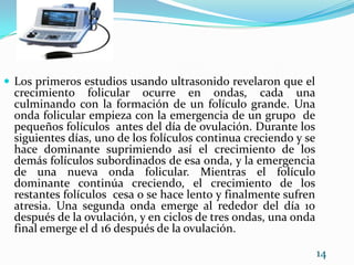 Los primeros estudios usando ultrasonido revelaron que el crecimiento folicular ocurre en ondas, cada una culminando con la formación de un folículo grande. Una onda folicular empieza con la emergencia de un grupo  de pequeños folículos  antes del día de ovulación. Durante los siguientes días, uno de los folículos continua creciendo y se hace dominante suprimiendo así el crecimiento de los demás folículos subordinados de esa onda, y la emergencia de una nueva onda folicular. Mientras el folículo dominante continúa creciendo, el crecimiento de los restantes folículos  cesa o se hace lento y finalmente sufren atresia. Una segunda onda emerge al rededor del día 10 después de la ovulación, y en ciclos de tres ondas, una onda final emerge el d 16 después de la ovulación.14