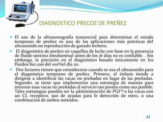 DIAGNOSTDIAGNOSTICO PRECOZ DE PREÑEZEl uso de la ultrasonografía transrectal para determinar el estado temprano de preñez es una de las aplicaciones más prácticas del ultrasonido en reproducción de ganado lechero. El diagnóstico de preñez en vaquillas de leche con base en la presencia de fluido uterino intraluminal antes de los 16 días no es confiable. . Sin embargo, la precisión en el diagnóstico basado únicamente en los fluidos fue casi del 100%el día 20. Dos factores tienen que considerarse cuando se usa el ultrasonido para el diagnóstico temprano de preñez. Primero, el énfasis tiende a  dirigirse a identificar las vacas no preñadas en lugar de las preñadas. Segundo, se tiene que implementar una estrategia de manejo para retornar esas vacas no preñadas al servicio tan pronto como sea posible. Tales estrategias pueden ser la administración de PGF2α a las vacas con un CL receptivo, uso de ayudas para le detección de estro, o una combinación de ambos métodos.   21