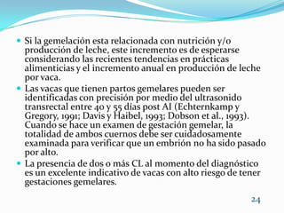 Si la gemelación esta relacionada con nutrición y/o producción de leche, este incremento es de esperarse considerando las recientes tendencias en prácticas alimenticias y el incremento anual en producción de leche por vaca. Las vacas que tienen partos gemelares pueden ser identificadas con precisión por medio del ultrasonido transrectal entre 40 y 55 días post AI (Echternkamp y Gregory, 1991; Davis y Haibel, 1993; Dobson et al., 1993). Cuando se hace un examen de gestación gemelar, la totalidad de ambos cuernos debe ser cuidadosamente examinada para verificar que un embrión no ha sido pasado por alto. La presencia de dos o más CL al momento del diagnóstico es un excelente indicativo de vacas con alto riesgo de tener gestaciones gemelares. 24