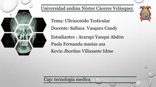 Universidad andina Néstor Cáceres Velásquez
Cap: tecnología medica
Tema: Ultrasonido Testicular
Docente: Salluca Vasquez C...