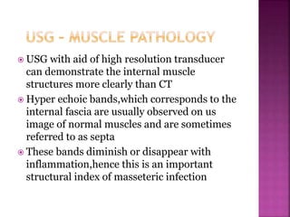  USG with aid of high resolution transducer
can demonstrate the internal muscle
structures more clearly than CT
 Hyper echoic bands,which corresponds to the
internal fascia are usually observed on us
image of normal muscles and are sometimes
referred to as septa
 These bands diminish or disappear with
inflammation,hence this is an important
structural index of masseteric infection
 
