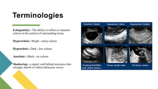 Ultrasonography in Surgery.pptx