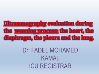 Ultrasonography evaluation during
the weaning process: the heart, the
diaphragm, the pleura and the lung.
Dr: FADEL MOHAMED
KAMAL
ICU REGISTRAR
 