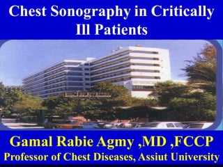 Chest Sonography in Critically
Ill Patients
Gamal Rabie Agmy ,MD ,FCCP
Professor of Chest Diseases, Assiut University
 