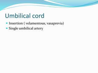 Umbilical cord
 Insertion ( velamentous, vasaprevia)
 Single umbilical artery
 