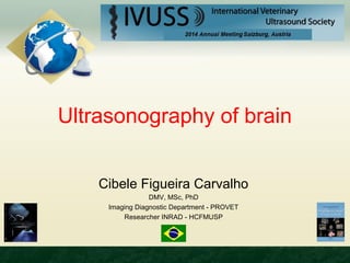Ultrasonography of brain 
Cibele Figueira Carvalho 
DMV, MSc, PhD 
Imaging Diagnostic Department - PROVET 
Researcher INRAD - HCFMUSP 
 