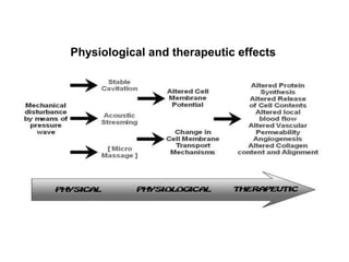 Physiological and therapeutic effects
 