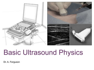 +




Basic Ultrasound Physics
Dr. A. Ferguson
 