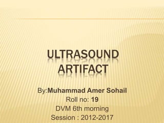 ULTRASOUND
ARTIFACT
By:Muhammad Amer Sohail
Roll no: 19
DVM 6th morning
Session : 2012-2017
 