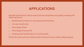 APPLICATIONS
Basically ultrasound is used to assess carcass composition and quality, assessing the
following factors-
1. Backfat determination on subcutaneous fat thickness
2. Loin eye muscle area
3. Percentage of lean
4. Percentage of carcass fat
5. Intramuscular fat estimation or muscle quality.
RTU is the most common method used in livestock such as cattle, sheep and goat.
 