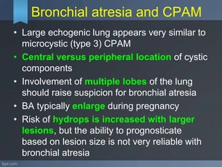 Ultrasound evaluation of fetal thorax | PPT