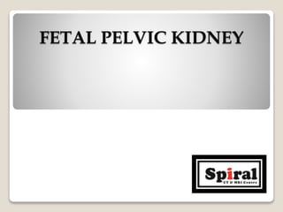 FETAL PELVIC KIDNEY
 