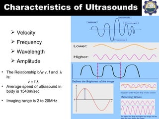  Velocity
 Frequency
 Wavelength
 Amplitude
• The Relationship b/w v, f and λ
is:
v = f λ
• Average speed of ultrasoun...