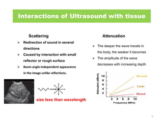 Ultrasound Imaging_2023.pdf