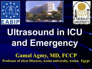 Ultrasound in ICU
and Emergency
Gamal Agmy, MD, FCCP
Professor of chest Diseases, Assiut university, Assiut, Egypt
 