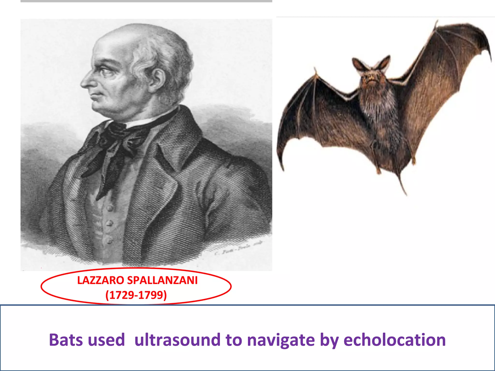 LAZZARO SPALLANZANI
(1729-1799)
Bats used ultrasound to navigate by echolocation
 
