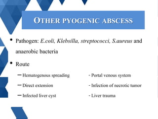 • Pathogen: E.coli, Klebsilla, streptococci, S.aureus and
anaerobic bacteria
• Route
–Hematogenous spreading - Portal veno...