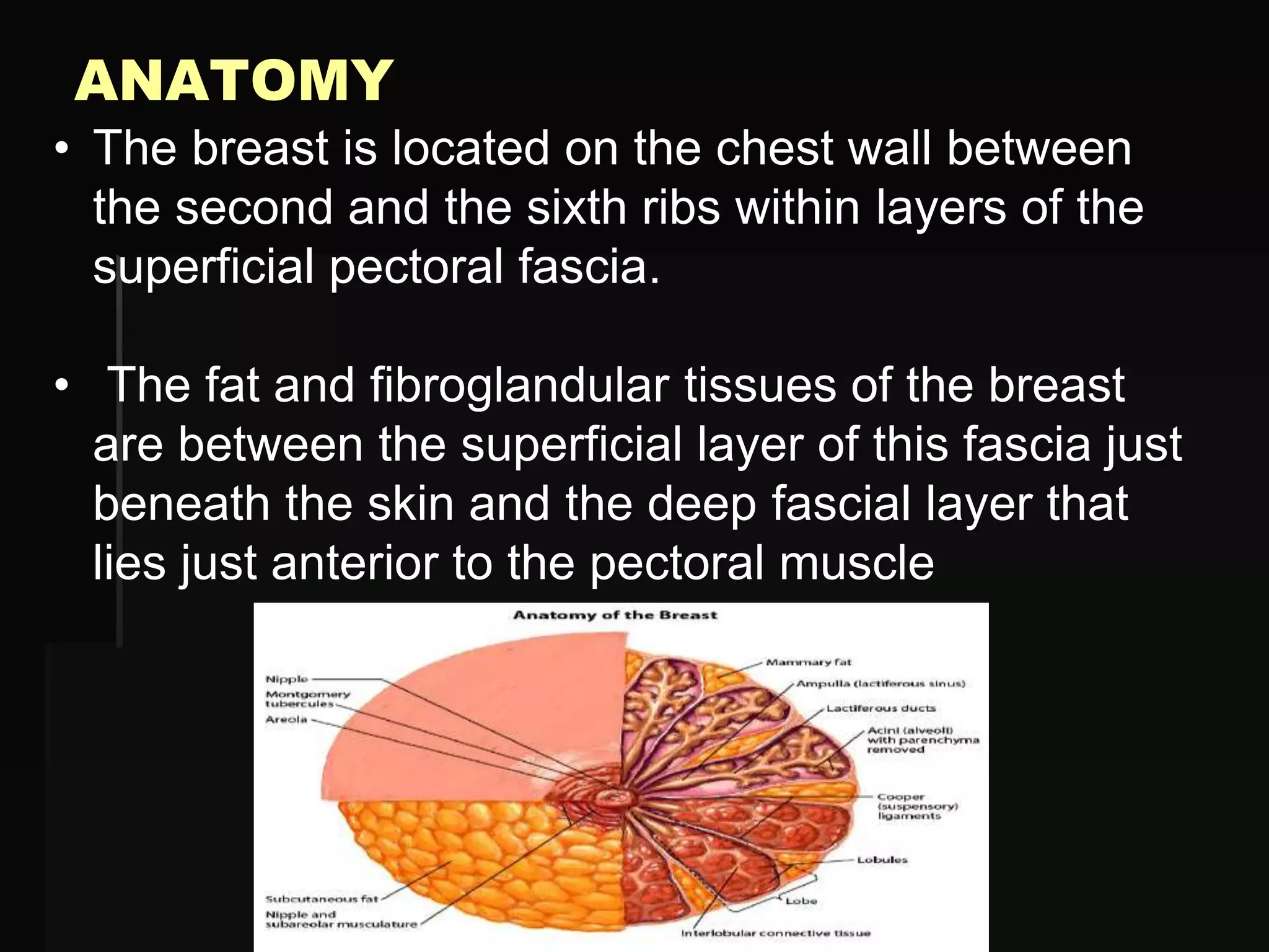 Ultrasound of breast | PPTX