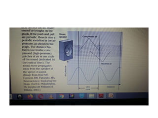 Ultrasound physics 1