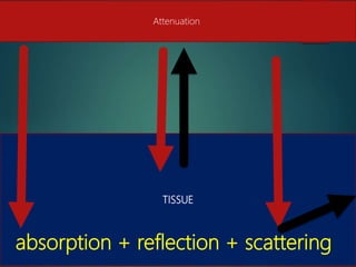 Ultrasound physics and image optimization1 (1) | PPTX