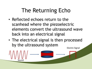 The Returning Echo
• Reflected echoes return to the
  scanhead where the piezoelectric
  elements convert the ultrasound wave
  back into an electrical signal
• The electrical signal is then processed
  by the ultrasound system
                                Electric Signal




     Sound
 