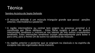 Técnica
Sombra Acústica do Septo Deltoide
• O músculo deltoide é um músculo triangular grande que possui porções
anterior, intermediária e posterior.
• A região intermediária ou central tem origem no processo acromial e é
constituída por fibras oblíquas . Estas fibras surgem a partir de quatro
intersecções tendíneas e inserem-se nas laterais de três outros cruzamentos
tendíneos. Estes interseções tendíneas cruzam alternadamente para baixo e
para cima, para a frente um do outro na substância do músculo .
• As regiões anterior e posterior que se originam na clavícula e na espinha da
escápula não são organizadas dessa maneira.
 