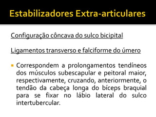 Configuração côncava do sulco bicipital
Ligamentos transverso e falciforme do úmero
 Correspondem a prolongamentos tendíneos
dos músculos subescapular e peitoral maior,
respectivamente, cruzando, anteriormente, o
tendão da cabeça longa do bíceps braquial
para se fixar no lábio lateral do sulco
intertubercular.
 