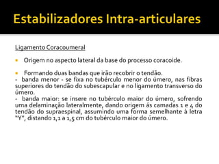 Ligamento Coracoumeral
 Origem no aspecto lateral da base do processo coracoide.
 Formando duas bandas que irão recobrir o tendão.
- banda menor - se fixa no tubérculo menor do úmero, nas fibras
superiores do tendão do subescapular e no ligamento transverso do
úmero.
- banda maior: se insere no tubérculo maior do úmero, sofrendo
uma delaminação lateralmente, dando origem ás camadas 1 e 4 do
tendão do supraespinal, assumindo uma forma semelhante à letra
“Y”, distando 1,1 a 1,5 cm do tubérculo maior do úmero.
 