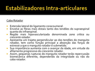 Cabo Rotador
 Extensão lateral do ligamento coracoumeral.
 Envolve as fibras mais distais tanto dos tendões do supraespinal
quanto do infraespinal.
 Região mais hipovascularizada denominada zona crítica ou
crescente rotador.
 Apresenta um trajeto perpendicular ao dos tendões do manguito
rotador, tem como função principal a absorção das forças de
estresse a que o manguito rotador é submetido.
 Sua importância aumenta com o avançar da idade, em virtude do
afilamento progressivo do crescente rotador.
 Assim, pequenas rupturas do manguito rotador terão repercussão
biomecânica diferente, dependendo da integridade ou não do
cabo rotador.
 