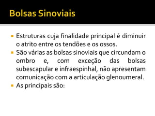 Estruturas cuja finalidade principal é diminuir
o atrito entre os tendões e os ossos.
 São várias as bolsas sinoviais que circundam o
ombro e, com exceção das bolsas
subescapular e infraespinhal, não apresentam
comunicação com a articulação glenoumeral.
 As principais são:
 