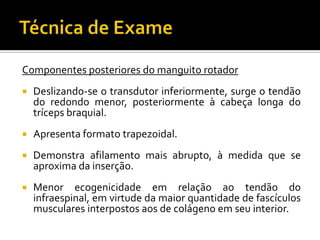 Componentes posteriores do manguito rotador
 Deslizando-se o transdutor inferiormente, surge o tendão
do redondo menor, posteriormente à cabeça longa do
tríceps braquial.
 Apresenta formato trapezoidal.
 Demonstra afilamento mais abrupto, à medida que se
aproxima da inserção.
 Menor ecogenicidade em relação ao tendão do
infraespinal, em virtude da maior quantidade de fascículos
musculares interpostos aos de colágeno em seu interior.
 