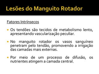 Fatores Intrínsecos
 Os tendões são tecidos de metabolismo lento,
apresentando vascularização peculiar.
 No manguito rotador os vasos sanguíneo
penetram pelo tendão, promovendo a irrigação
das camadas mais externas.
 Por meio de um processo de difusão, os
nutrientes atingem a camada central.
 