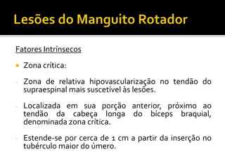 Fatores Intrínsecos
 Zona crítica:
- Zona de relativa hipovascularização no tendão do
supraespinal mais suscetível às lesões.
- Localizada em sua porção anterior, próximo ao
tendão da cabeça longa do bíceps braquial,
denominada zona crítica.
- Estende-se por cerca de 1 cm a partir da inserção no
tubérculo maior do úmero.
 