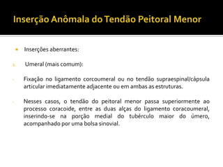  Inserções aberrantes:
1. Umeral (mais comum):
- Fixação no ligamento corcoumeral ou no tendão supraespinal/cápsula
articular imediatamente adjacente ou em ambas as estruturas.
- Nesses casos, o tendão do peitoral menor passa superiormente ao
processo coracoide, entre as duas alças do ligamento coracoumeral,
inserindo-se na porção medial do tubérculo maior do úmero,
acompanhado por uma bolsa sinovial.
 
