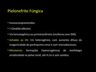 Pielonefrite Fúngica
• Imunocomprometidos
• > Candida albicans.
• Via hematogênica ou primário/direito (mulheres com DM).
• Achados ao US: rim heterogêneo, com aumento difuso da
ecogenicidade do parênquima renal e com microabscessos.
• Micetomas: formações hiperecogênicas de morfologia
arredondada na pelve renal, até 4 cm e sem sombra.
 